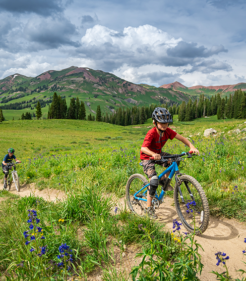 MeadowBiking